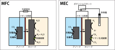 MFC��MEC�̈Ⴂ