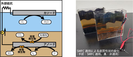 SMFC�̌���